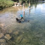 IMG_20150628_153441.jpg